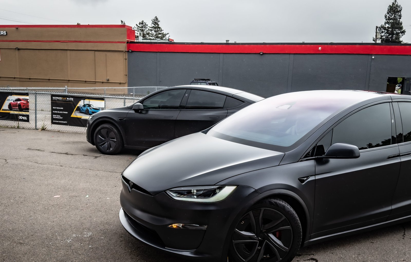 2026 Model Y 3M Wraps and Window Tint & 2026 Modle X Xpel PPF-1 (1)